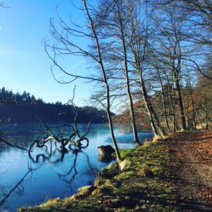 Wandern in Brandenburg.