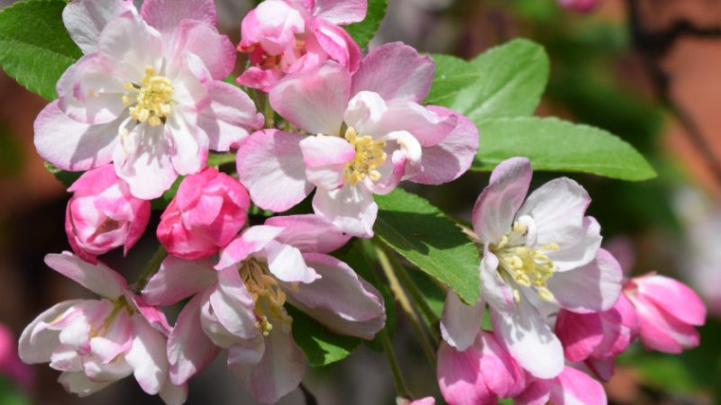 Wie du jetzt schon deinen Garten kultivieren kannst