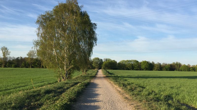 Wie du jetzt gute Gewohnheiten entwickelst